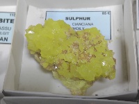 Mineral 10 - MineralExpo 2026
